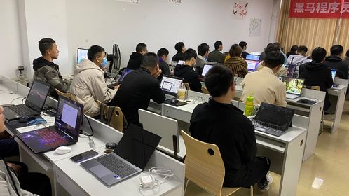 黑马程序员技术交流社区 技术成长的沃土与灵感碰撞的舞台